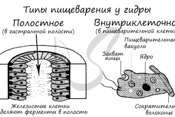 Kraken пользователь не найден при входе