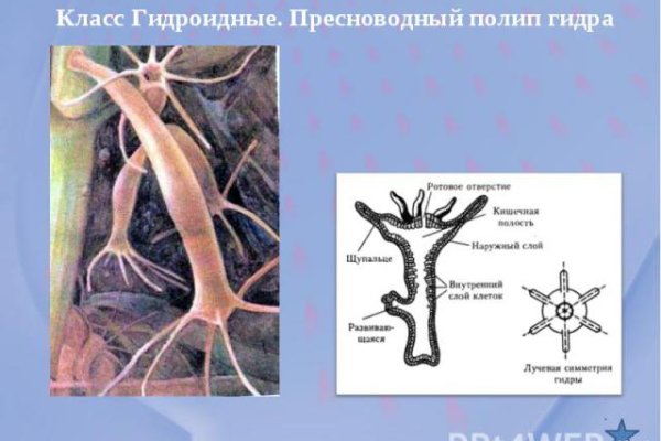 Можно ли зайти на кракен через обычный браузер