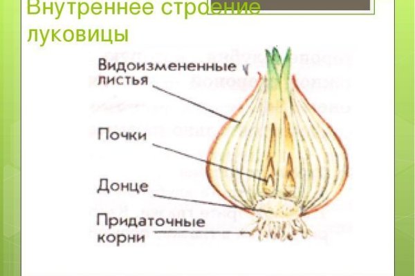 Где найти рабочую ссылку кракен