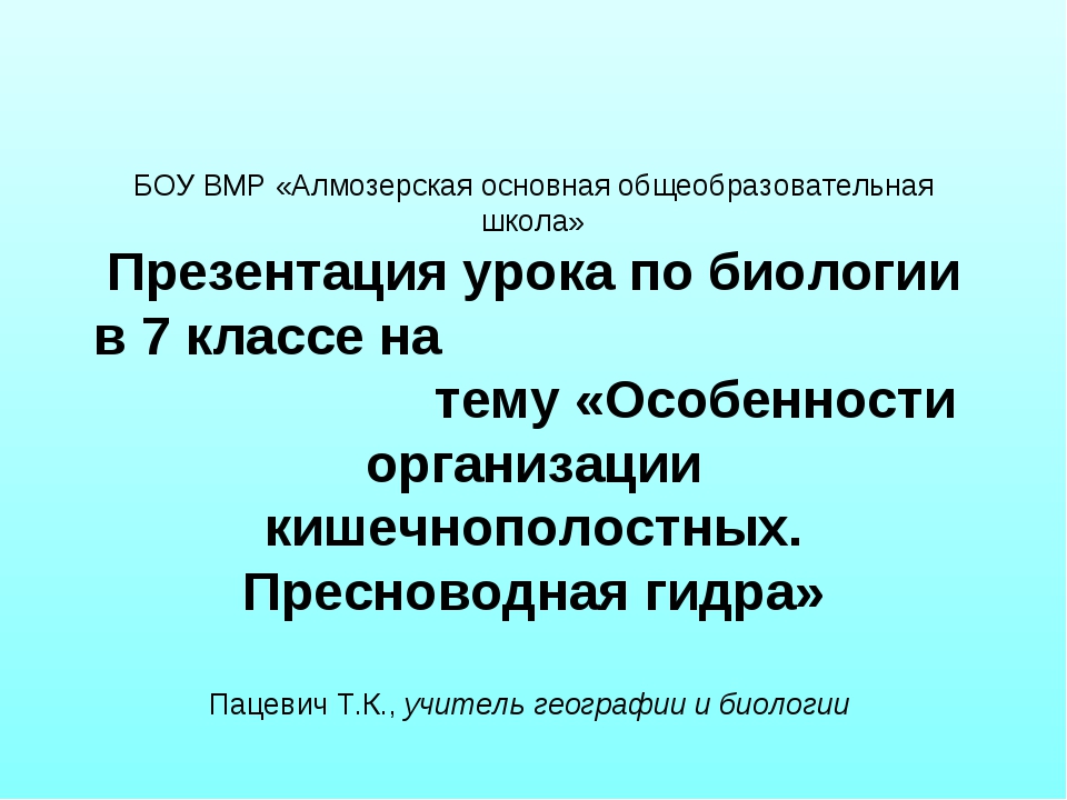 Кракен тор маркет пв